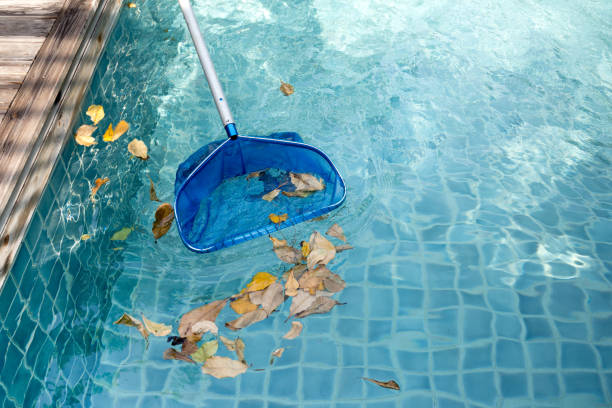 Our weekly pool cleaning service